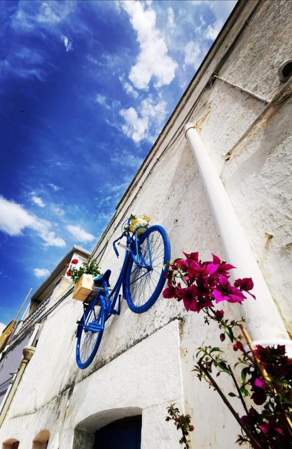 Casa Levante Canosa di Puglia Exterior foto