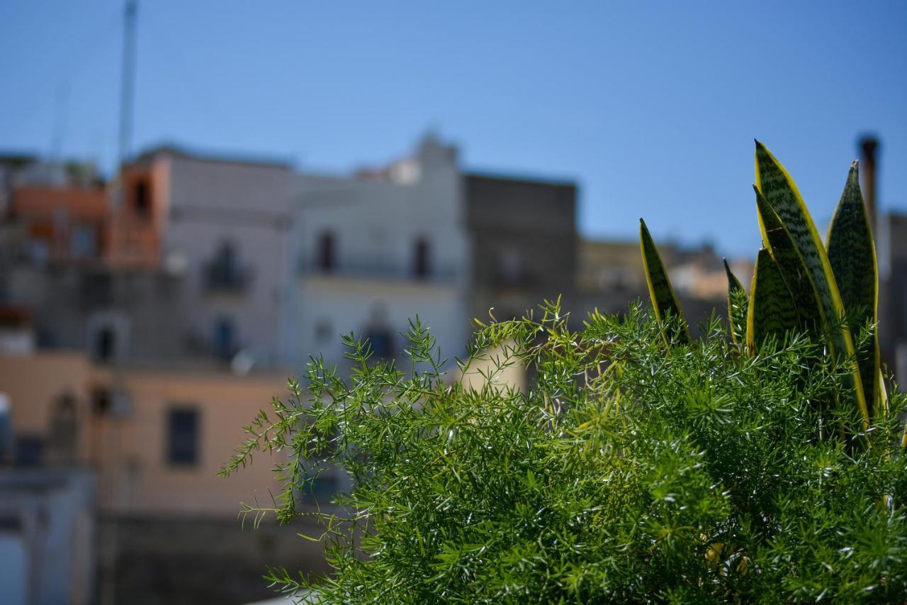 Casa Levante Canosa di Puglia Exterior foto